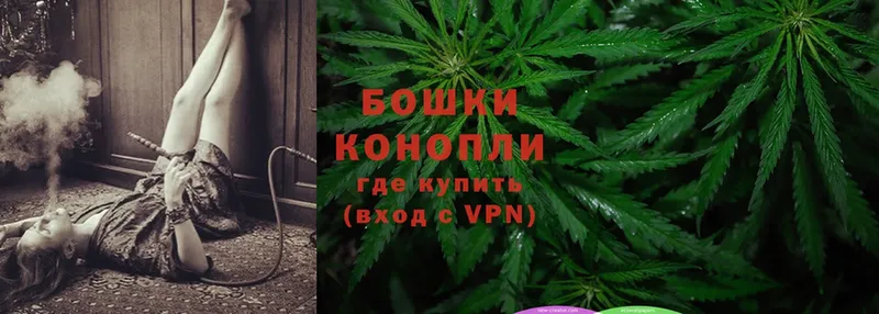 Бошки Шишки OG Kush  Болохово 